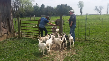 a delightful visit to chris's farm near riverside, IA
