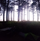 My campsite, see the dark little tent and bike? The ocean is behind those trees at Cape Lookout